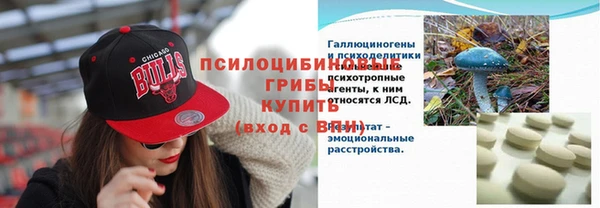 спайс Богородск
