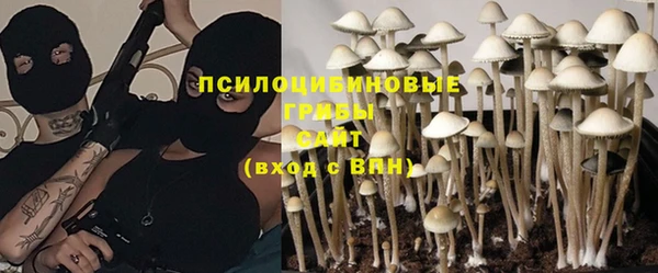 кокс Богданович