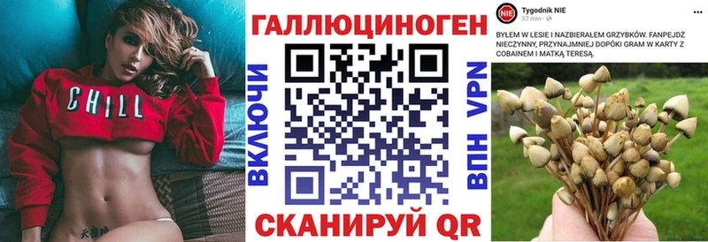 Галлюциногенные грибы прущие грибы Светогорск